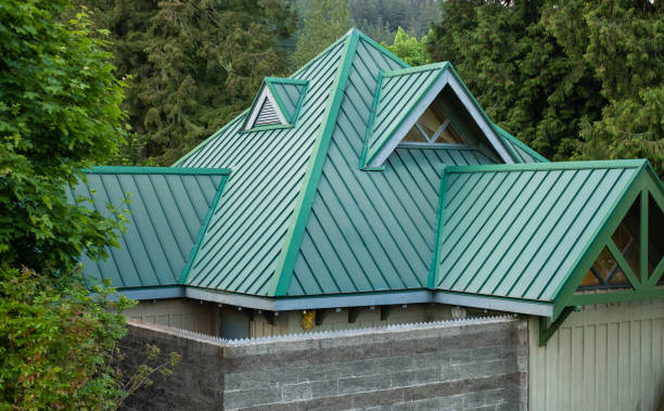 Best Gutter Replacement  in Edgewood, KY