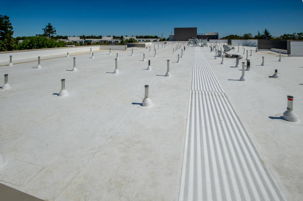 Best Roof Coating and Sealing  in Edgewood, KY